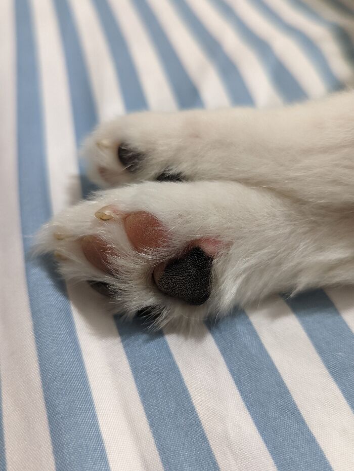 My Favorite Part Of A Day Off