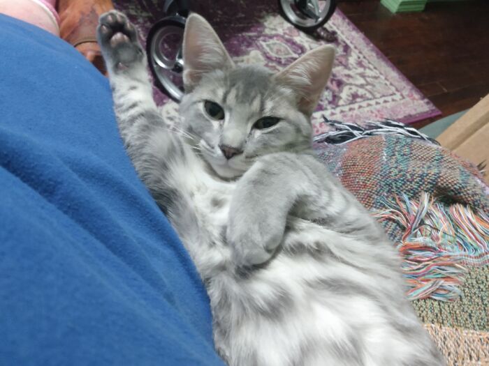 Bouche Wants Painted Like One Of Your French Girls