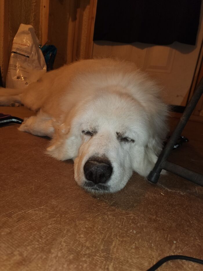 She Snores And Passes Gas While Sleeping