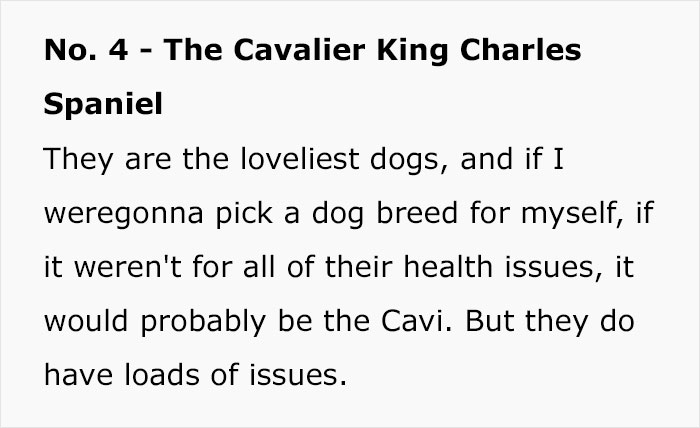 Veterinary Surgeon Reveals Cat And Dog Breeds He'd Never Buy And Explains Why Veterinary Surgeon Reveals Cat And Dog Breeds He'd Never Buy And Explains Why