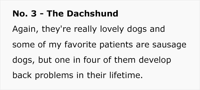 Veterinary Surgeon Reveals Cat And Dog Breeds He'd Never Buy And Explains Why Veterinary Surgeon Reveals Cat And Dog Breeds He'd Never Buy And Explains Why