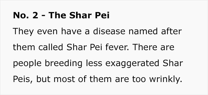 Veterinary Surgeon Reveals Cat And Dog Breeds He'd Never Buy And Explains Why Veterinary Surgeon Reveals Cat And Dog Breeds He'd Never Buy And Explains Why