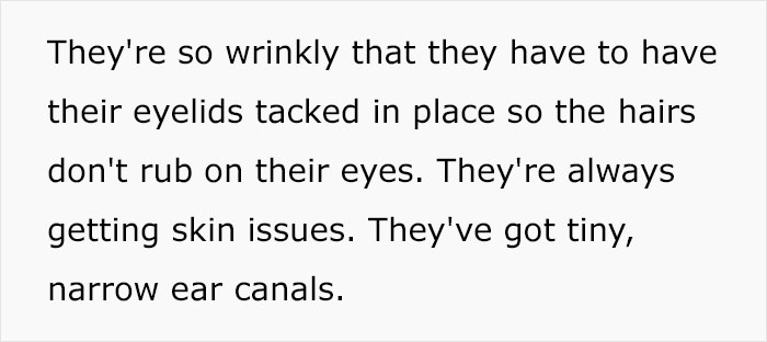 Veterinary Surgeon Reveals Cat And Dog Breeds He'd Never Buy And Explains Why Veterinary Surgeon Reveals Cat And Dog Breeds He'd Never Buy And Explains Why