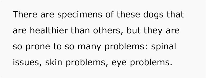 Veterinary Surgeon Reveals Cat And Dog Breeds He'd Never Buy And Explains Why Veterinary Surgeon Reveals Cat And Dog Breeds He'd Never Buy And Explains Why
