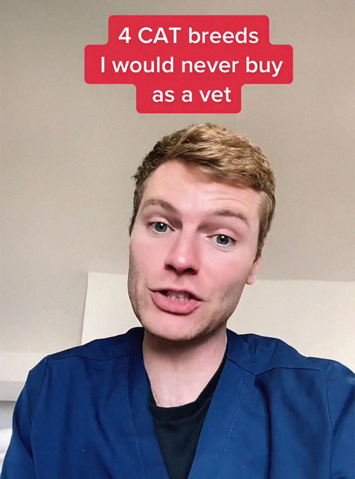 Veterinary Surgeon Reveals Cat And Dog Breeds He'd Never Buy And Explains Why Veterinary Surgeon Reveals Cat And Dog Breeds He'd Never Buy And Explains Why