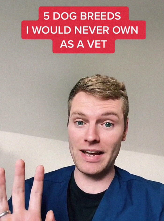 Veterinary Surgeon Reveals Cat And Dog Breeds He'd Never Buy And Explains Why Veterinary Surgeon Reveals Cat And Dog Breeds He'd Never Buy And Explains Why