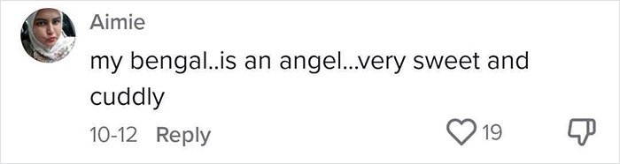 Veterinary Surgeon Reveals Cat And Dog Breeds He'd Never Buy And Explains Why Veterinary Surgeon Reveals Cat And Dog Breeds He'd Never Buy And Explains Why