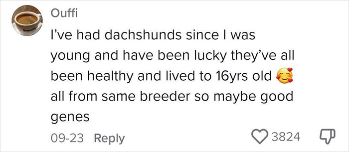 Veterinary Surgeon Reveals Cat And Dog Breeds He'd Never Buy And Explains Why Veterinary Surgeon Reveals Cat And Dog Breeds He'd Never Buy And Explains Why