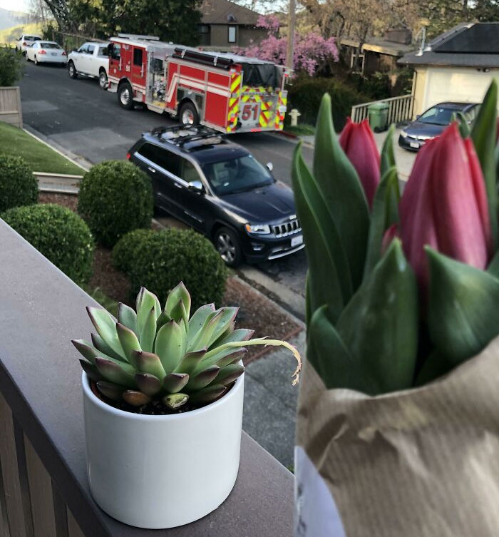 The Firefighters That Helped Deliver Our Baby In Our Driveway Last Week Just Dropped Off Flowers