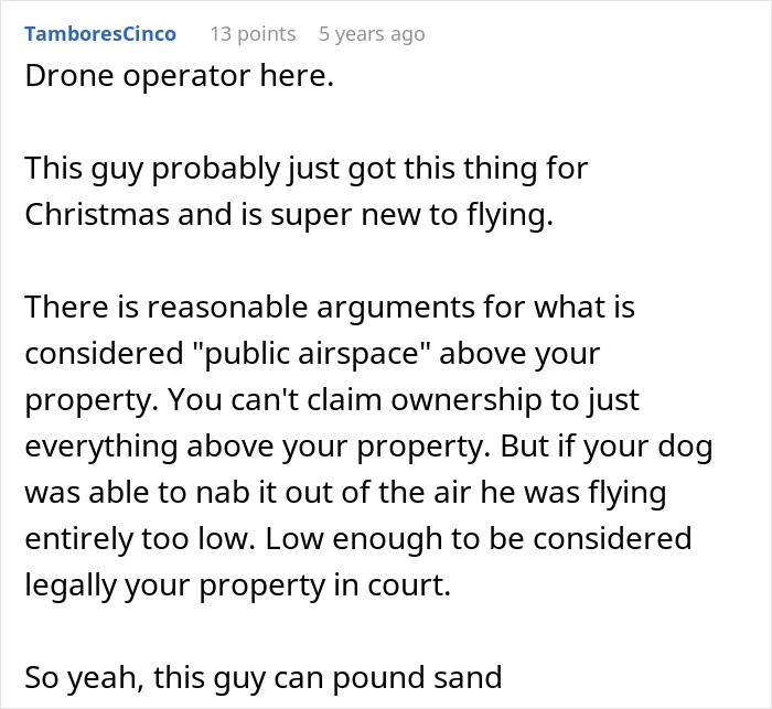 A Jerk Sues Neighbor Because His Dog Destroyed His Expensive Drone, Embarrasses Himself In Court