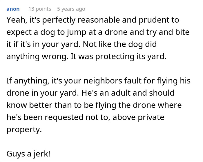 A Jerk Sues Neighbor Because His Dog Destroyed His Expensive Drone, Embarrasses Himself In Court