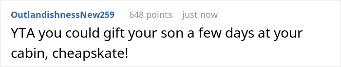 &ldquo;[Am I The Jerk] For Asking My Son And His STBW To Pay To Spend Their Honeymoon In My Winter Cabin?&rdquo;