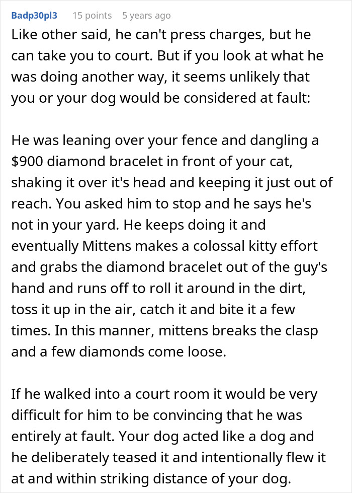 A Jerk Sues Neighbor Because His Dog Destroyed His Expensive Drone, Embarrasses Himself In Court