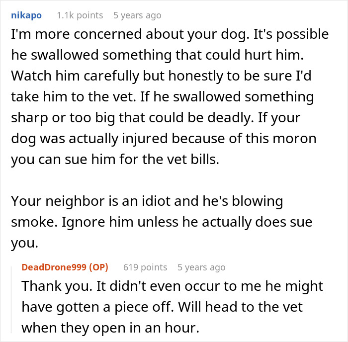 A Jerk Sues Neighbor Because His Dog Destroyed His Expensive Drone, Embarrasses Himself In Court