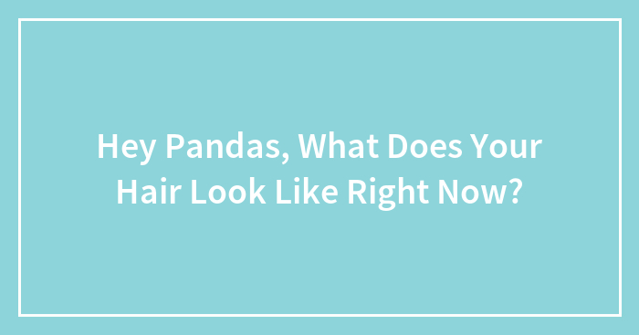 Hey Pandas, What Does Your Hair Look Like Right Now?