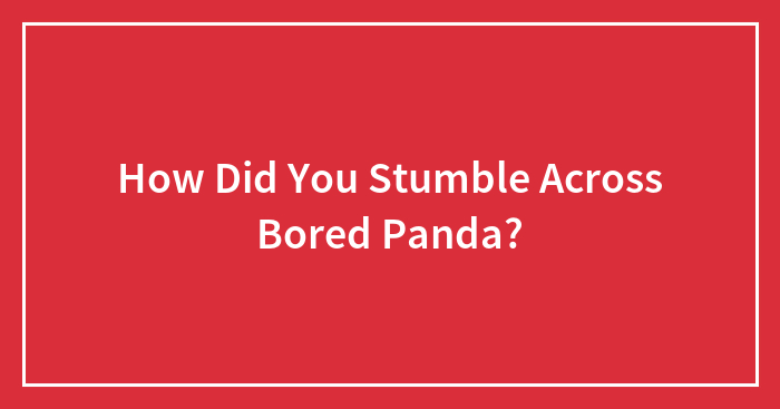 How Did You Stumble Across Bored Panda?