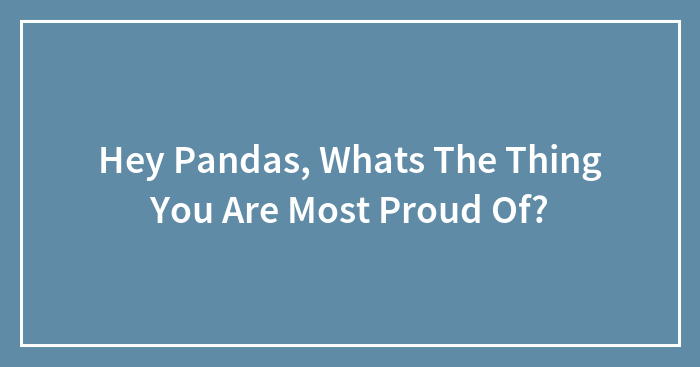 Hey Pandas, Whats The Thing You Are Most Proud Of?