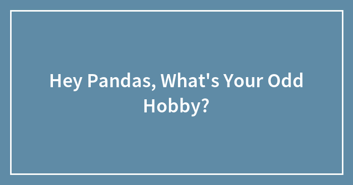 Hey Pandas, What’s Your Odd Hobby? (Closed)