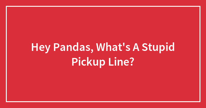 Hey Pandas, What’s A Stupid Pickup Line?