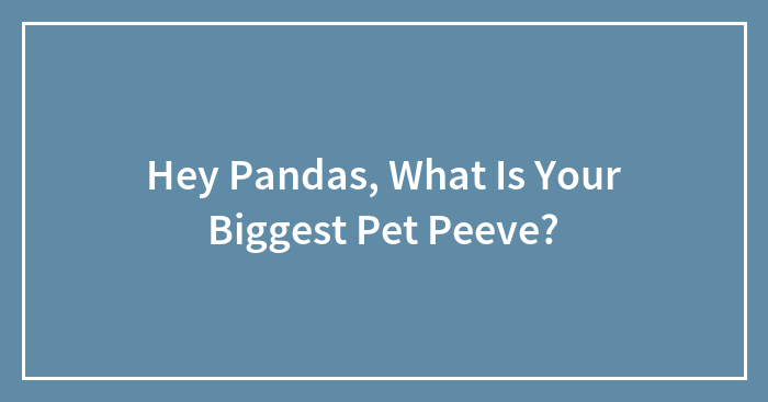Hey Pandas, What Is Your Biggest Pet Peeve?
