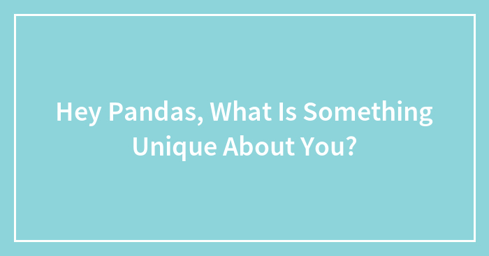 Hey Pandas, What Is Something Unique About You?