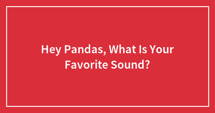 Hey Pandas, What Is Your Favorite Sound?