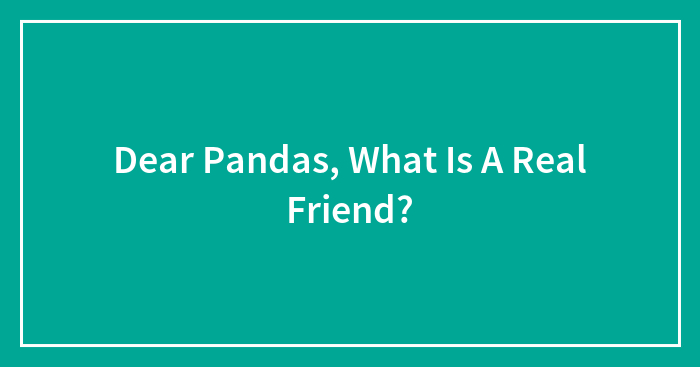 Dear Pandas, What Is A Real Friend?