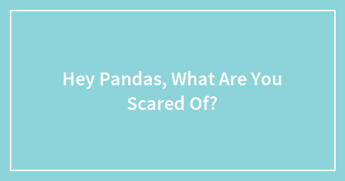 Hey Pandas, What Are You Scared Of?