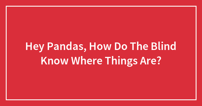 Hey Pandas, How Do The Blind Know Where Things Are?
