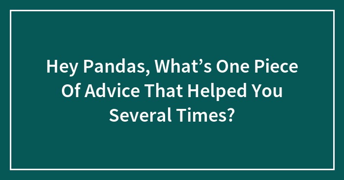 Hey Pandas, What’s One Piece Of Advice That Helped You Several Times? (Closed)