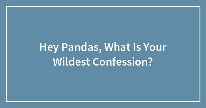 Hey Pandas, What Is Your Wildest Confession?