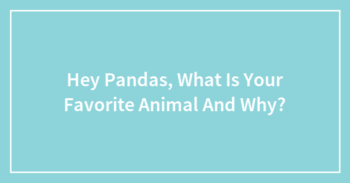 Hey Pandas, What Is Your Favorite Animal And Why?