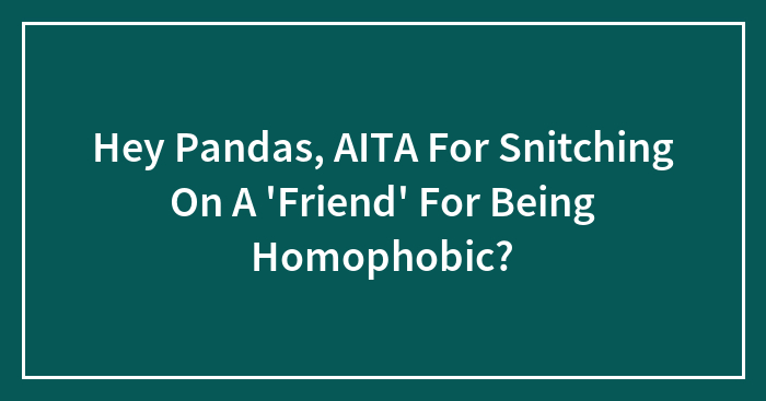Hey Pandas, AITA For Snitching On A ‘Friend’ For Being Homophobic? (Closed)