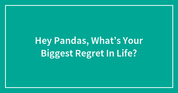 Hey Pandas, What’s Your Biggest Regret In Life? (Closed)