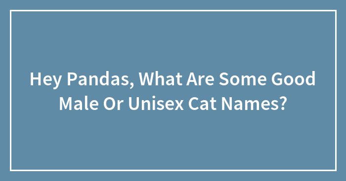 Hey Pandas, What Are Some Good Male Or Unisex Cat Names? (Closed)
