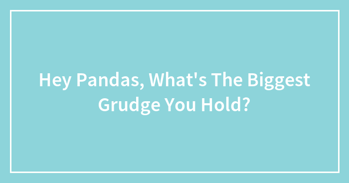Hey Pandas, What’s The Biggest Grudge You Hold? (Closed)
