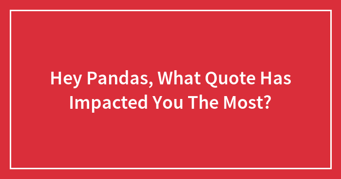 Hey Pandas, What Quote Has Impacted You The Most?