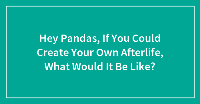 Hey Pandas, If You Could Create Your Own Afterlife, What Would It Be Like? (Closed)