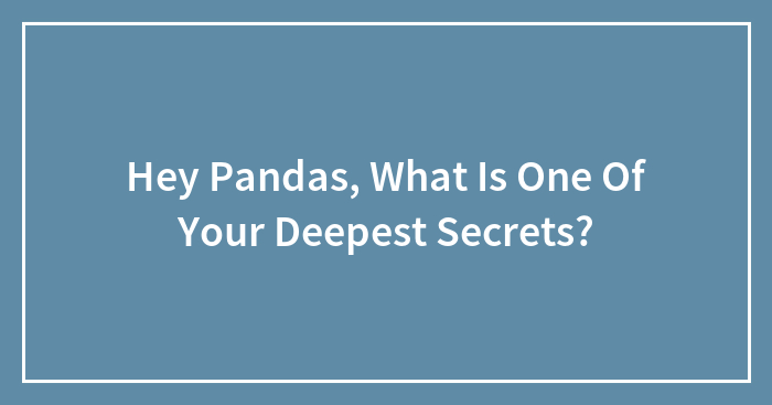Hey Pandas, What Is One Of Your Deepest Secrets? (Closed)
