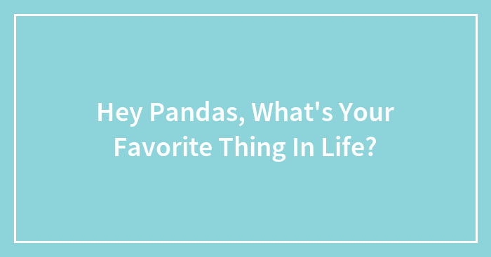 Hey Pandas, What’s Your Favorite Thing In Life? (Closed)