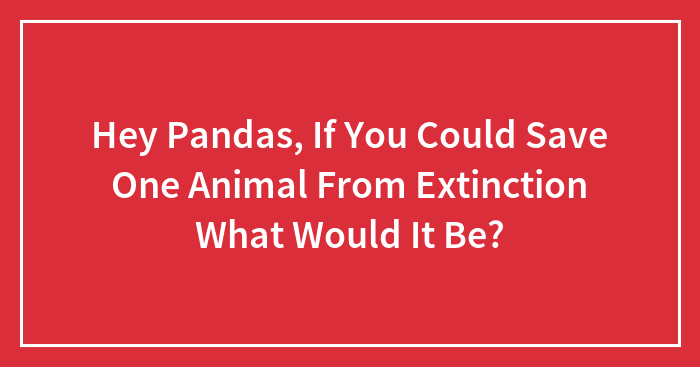 Hey Pandas, If You Could Save One Animal From Extinction What Would It Be?