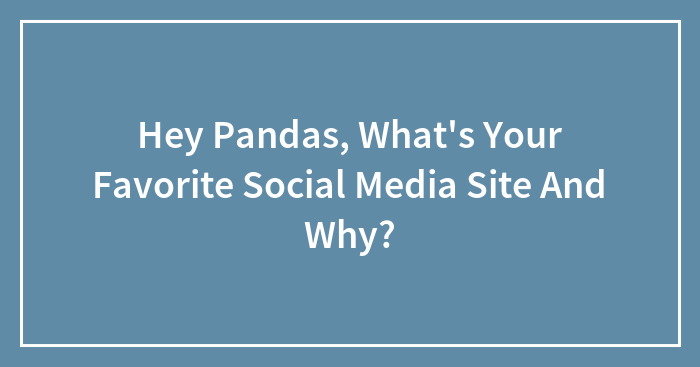Hey Pandas, What’s Your Favorite Social Media Site And Why? (Closed)