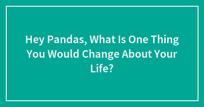 Hey Pandas, What Is One Thing You Would Change About Your Life?