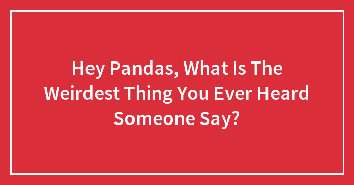 Hey Pandas, What Is The Weirdest Thing You Ever Heard Someone Say? (Closed)
