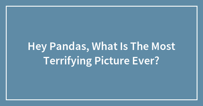 Hey Pandas, What Is The Most Terrifying Picture Ever?