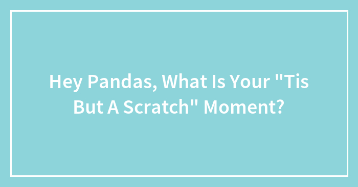 Hey Pandas, What Is Your “Tis But A Scratch” Moment? (Closed)