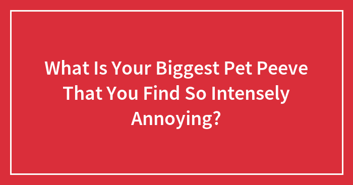 What Is Your Biggest Pet Peeve That You Find So Intensely Annoying?