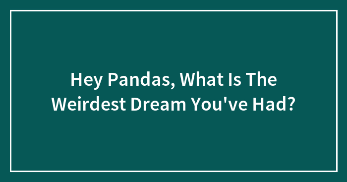 Hey Pandas, What Is The Weirdest Dream You’ve Had? (Closed)