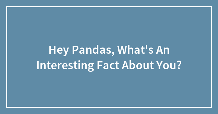 Hey Pandas, What’s An Interesting Fact About You? (Closed)