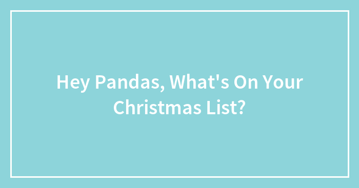 Hey Pandas, What’s On Your Christmas List?